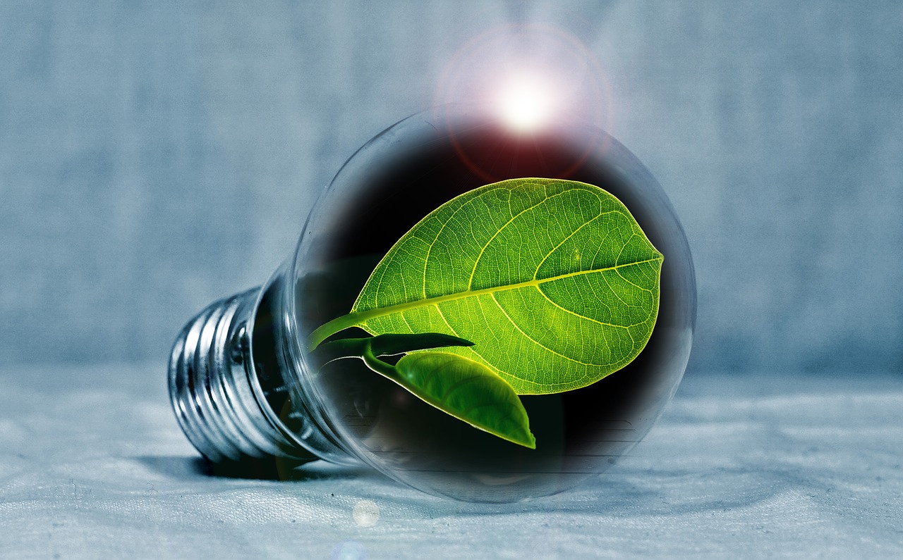 Why it Makes Sense to Choose Green Business Energy