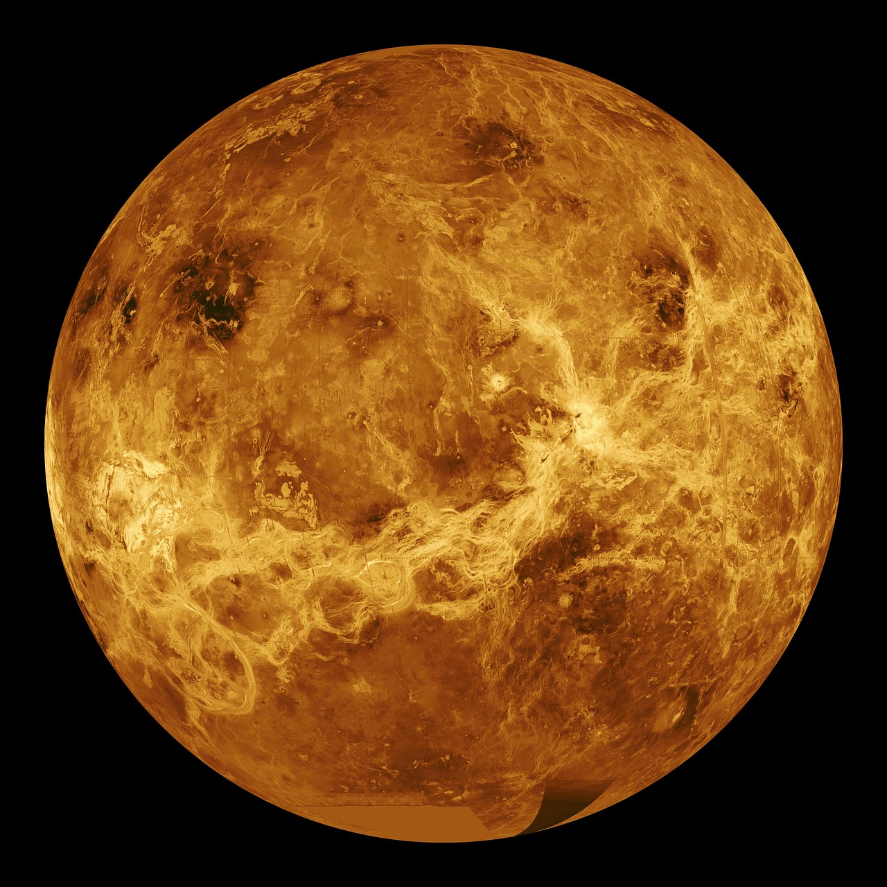 Could There Really Be Life on Venus?