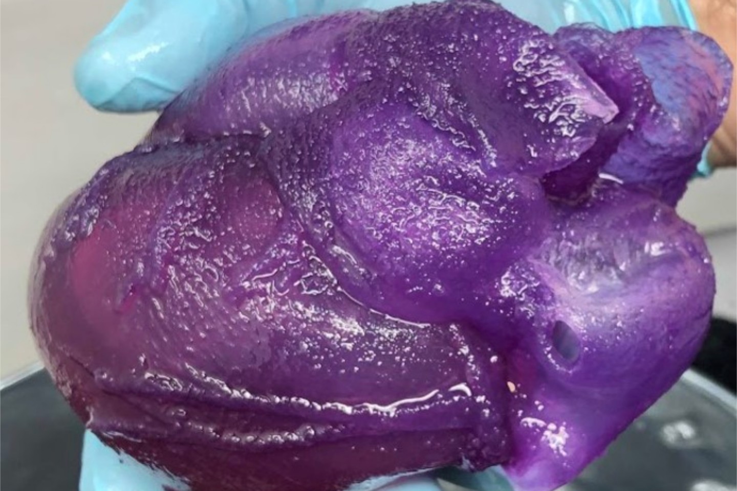 3D-Printed Life-Size Model Heart Has the Same Texture as the Real One
