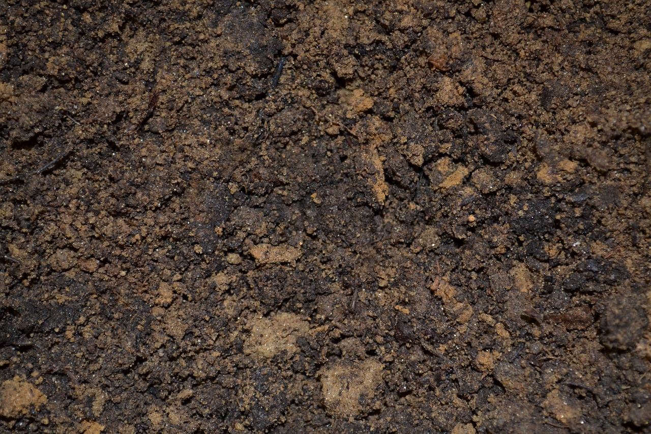 Soil Remediation Techniques