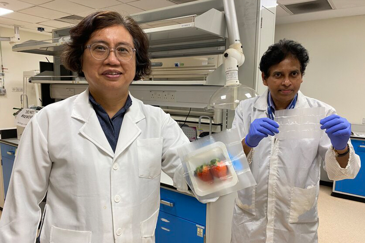 Corn-Based Biodegradable Food Packaging Material Keeps Harmful Microbes at Bay