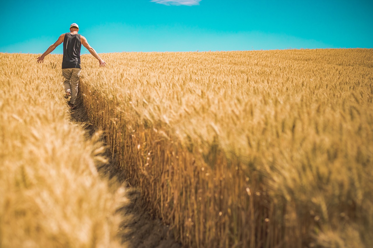 Researchers create laser bug zapping system that helps reduce pesticides