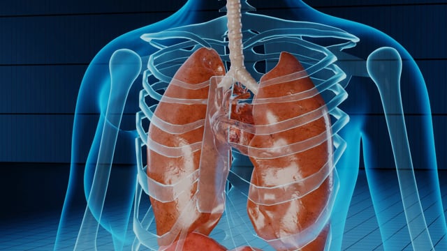 Drug Repositioning – Viagra Offers Cheap and Safe Treatment for Incurable Lung Disease