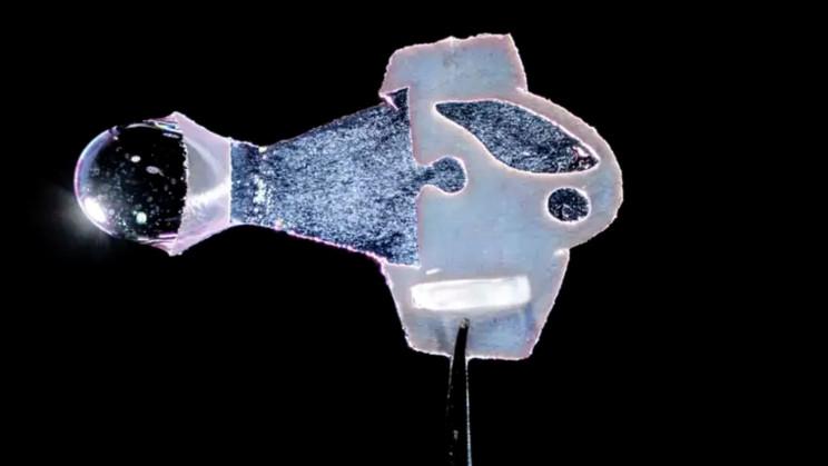 Bio-hybrid Fish Powered by Human Heart Cells to Build Artificial Heart