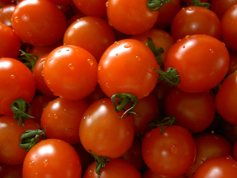 Genetically Engineering Tomatoes Could Solve Vitamin D Deficiency Worldwide