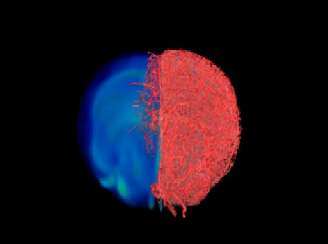 New Imaging Approach Provides a Clearer ‘Picture’ of Blood Vessels to Accelerate Imaging-Based Research