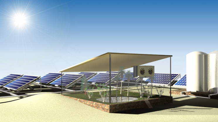 These Solar Panels Grow Crops in the Desert by Pulling In Water Vapor