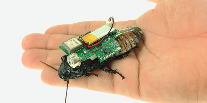 These Robotized Insects Can Search Collapsed Buildings for Survivors