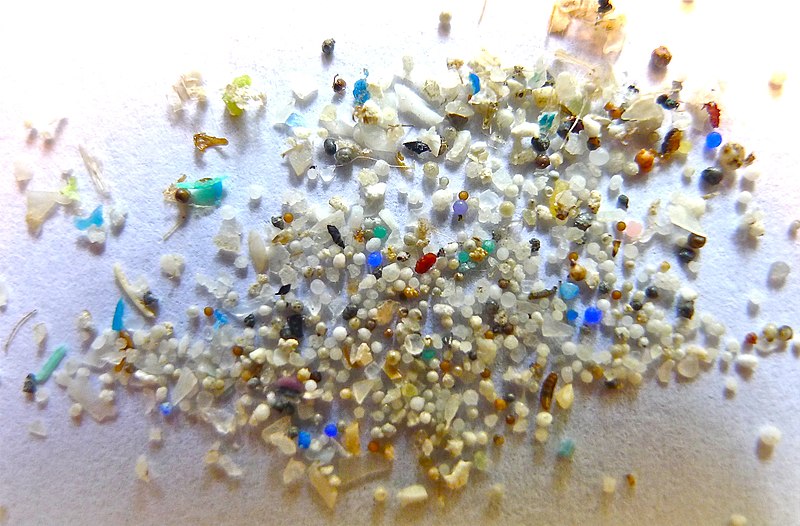 Microplastics Detected In Meat, Milk, and Blood of Farm Animals