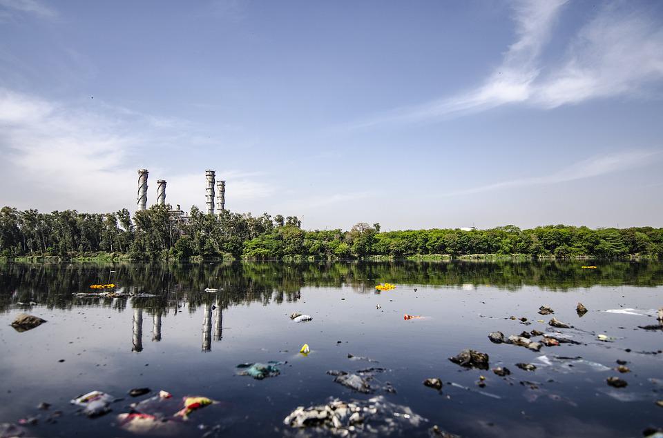 A Newly Discovered Plastic-Eating Bacteria Could Remove Plastic Waste from Lakes