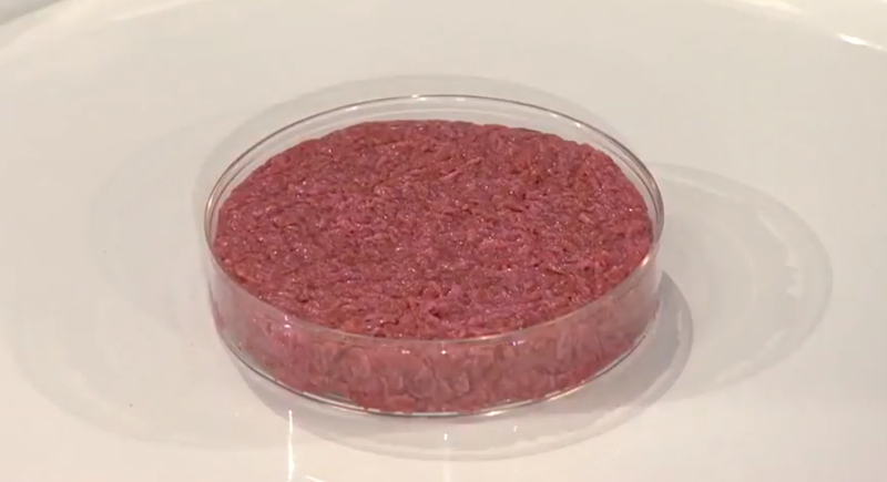 Scientists Use Magnetic Fields to Grow “Greener” Lab-Based Meat