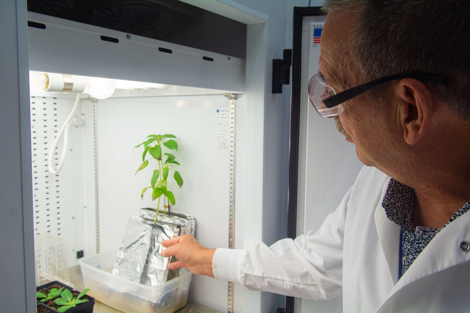 Scientists Discover a Smoky Solution for Stronger and Disease-Resistant Crops