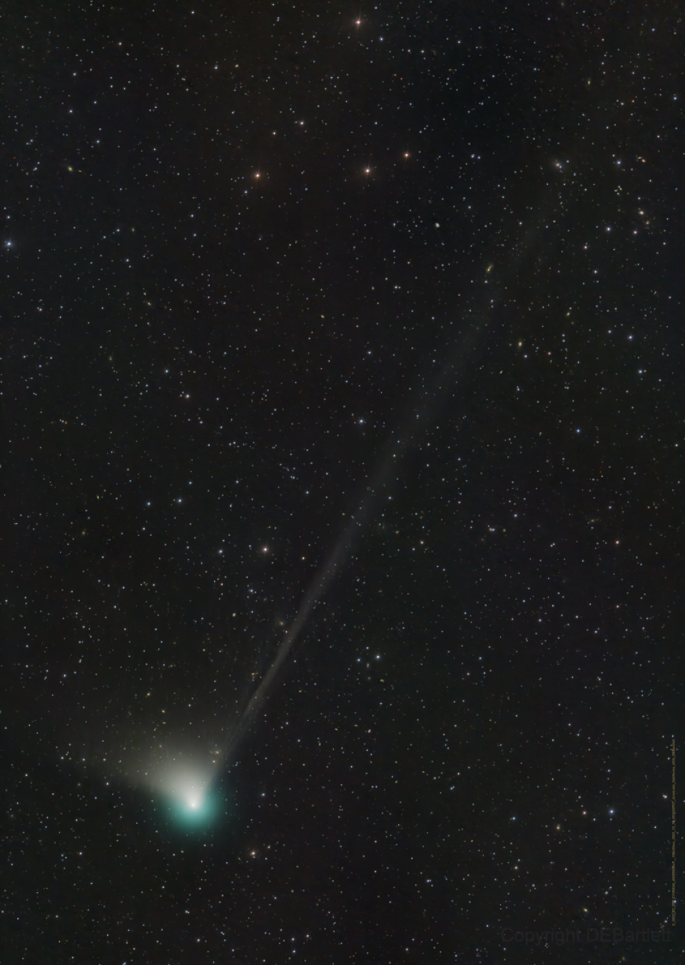 Comet That Last Flew Past Earth during Neanderthal Era Is Set To Return to Night Sky in the New Year