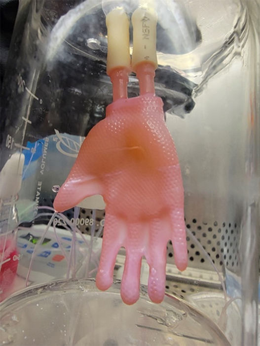 Next-Generation 3D-Printed Skin Grafts Could Be Applied Like “Biological Clothing”