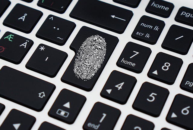 The Role of Identity Verification in The Transport Industry 