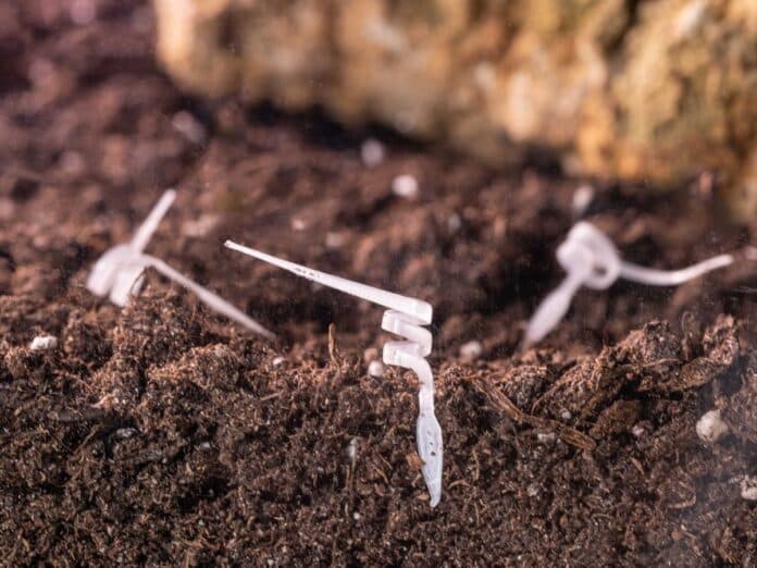 First Ever 3D-Printed Biodegradable Seed Robot to Monitor the Environment