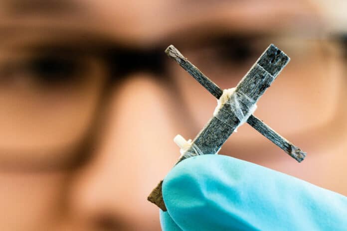 World’s First Wooden Transistors Invented for Future Electronic Devices