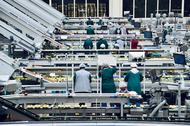 5 Must-Have Features of Modern Belt Conveyors for Industry 4.0