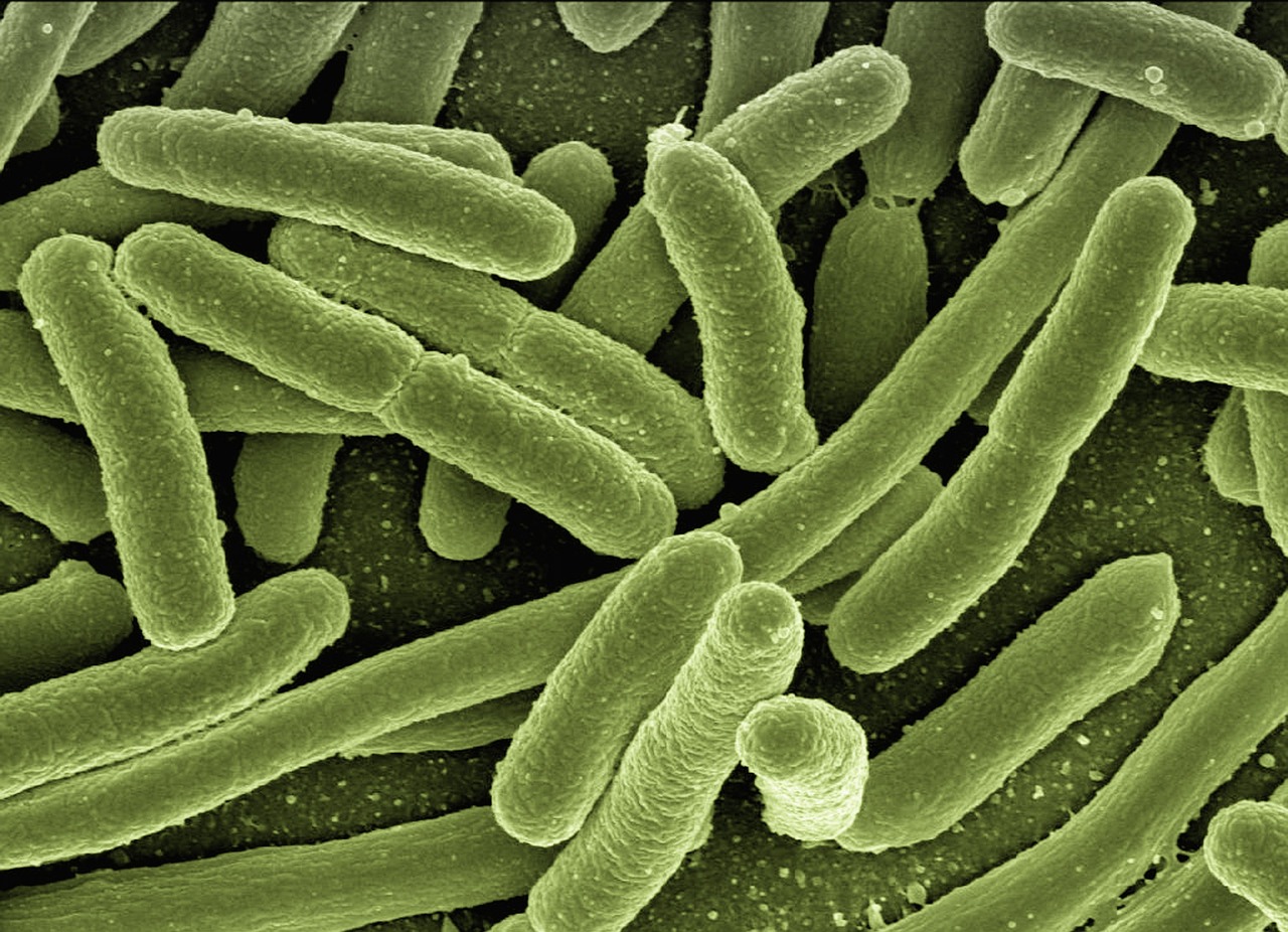 Electrifying Breakthrough: E. coli Powers Up Wastewater Treatment