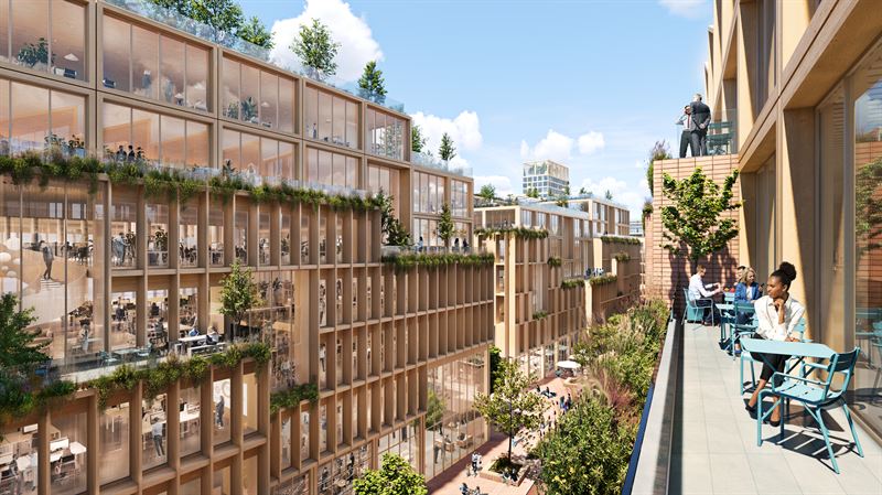 Sweden Embarks on Creating the World’s Largest Timber City