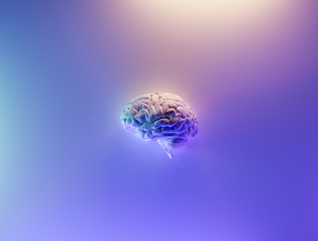 Neuralink Secures $280 Million for Human Brain Implant Trials