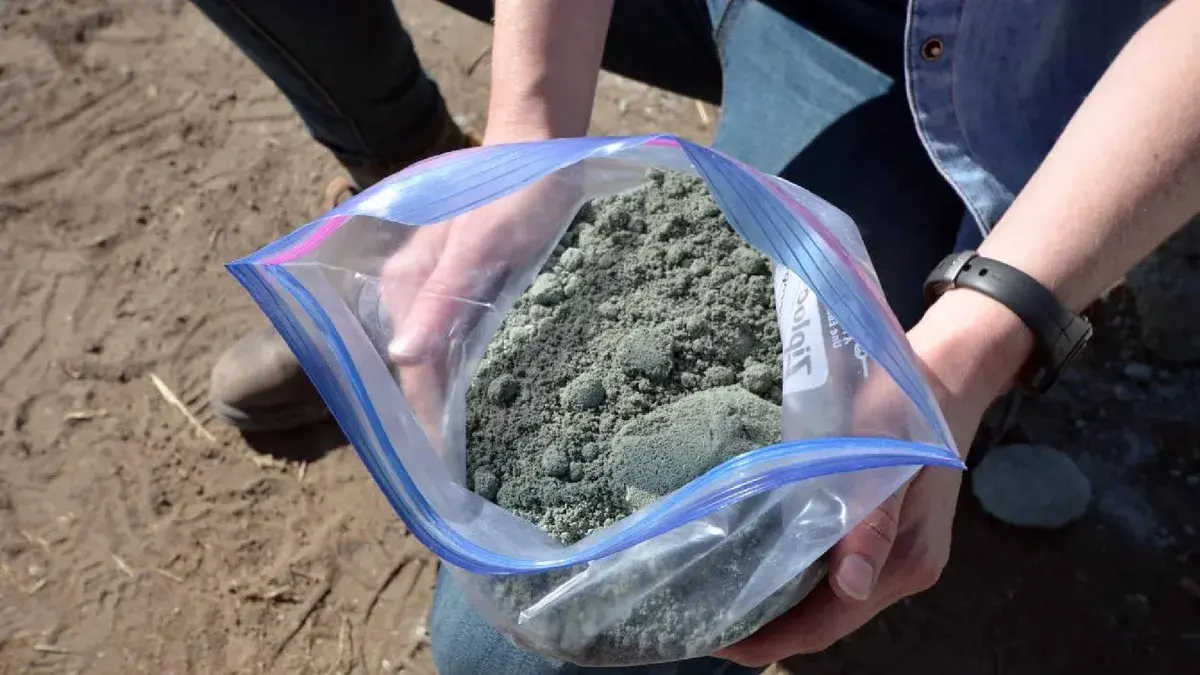 Revolutionizing Carbon Sequestration: Volcanic rocks added to soil can pull CO2 from the air
