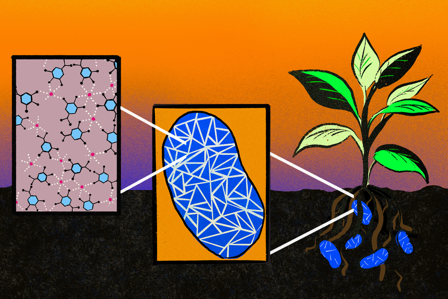 Harnessing Microbial Power: A Sustainable Path to Reduced Chemical Fertilizer Dependency