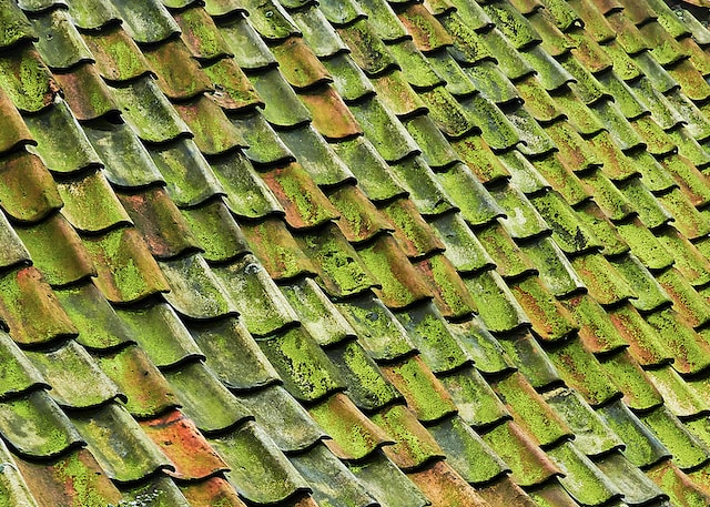 Why Thoughtful Roofing Strategies Define Home Architectural Success
