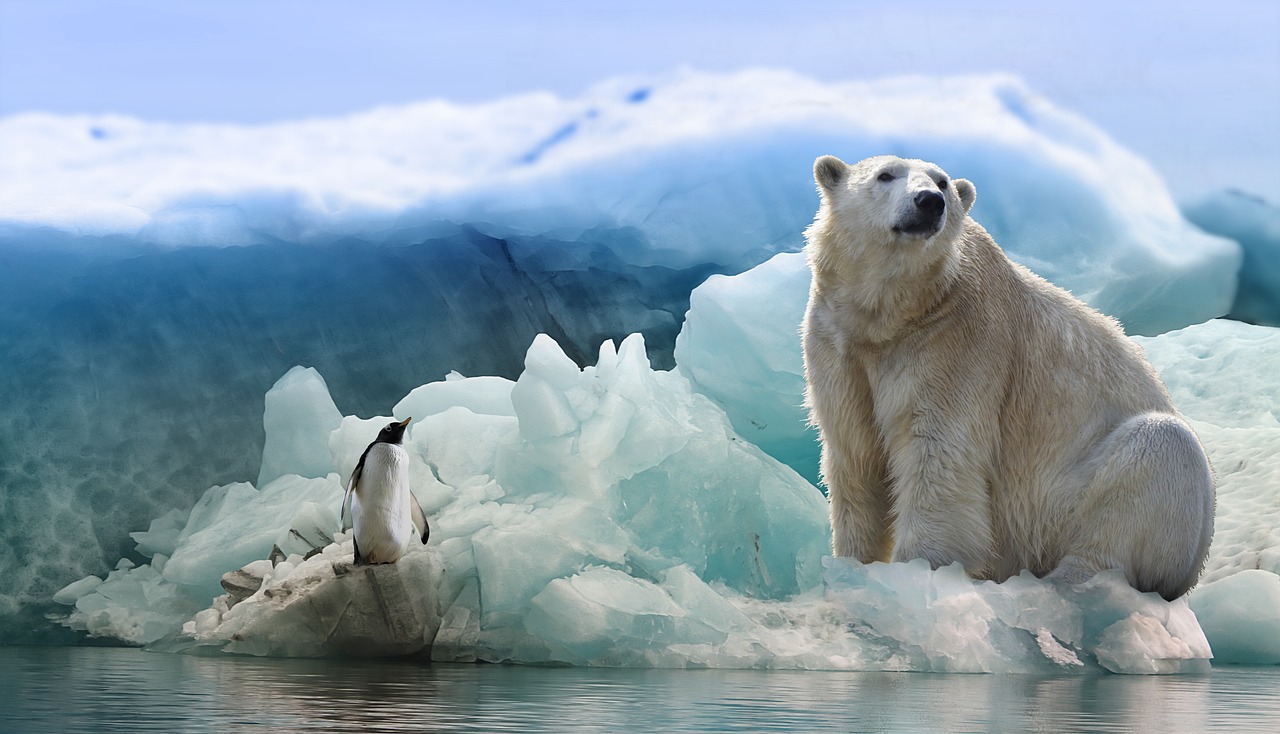 Researchers Craft Polar Bear Fur-Like Insulating Fiber, Thinner Than Down Jacket, Yet Just as Warm!