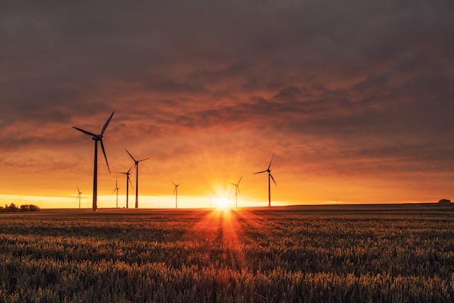 Renewable Renaissance: Transforming Industries through Sustainable Energy