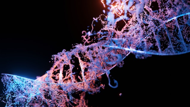 Noninvasive Technology Tracks Gene Expression in The Living Brain