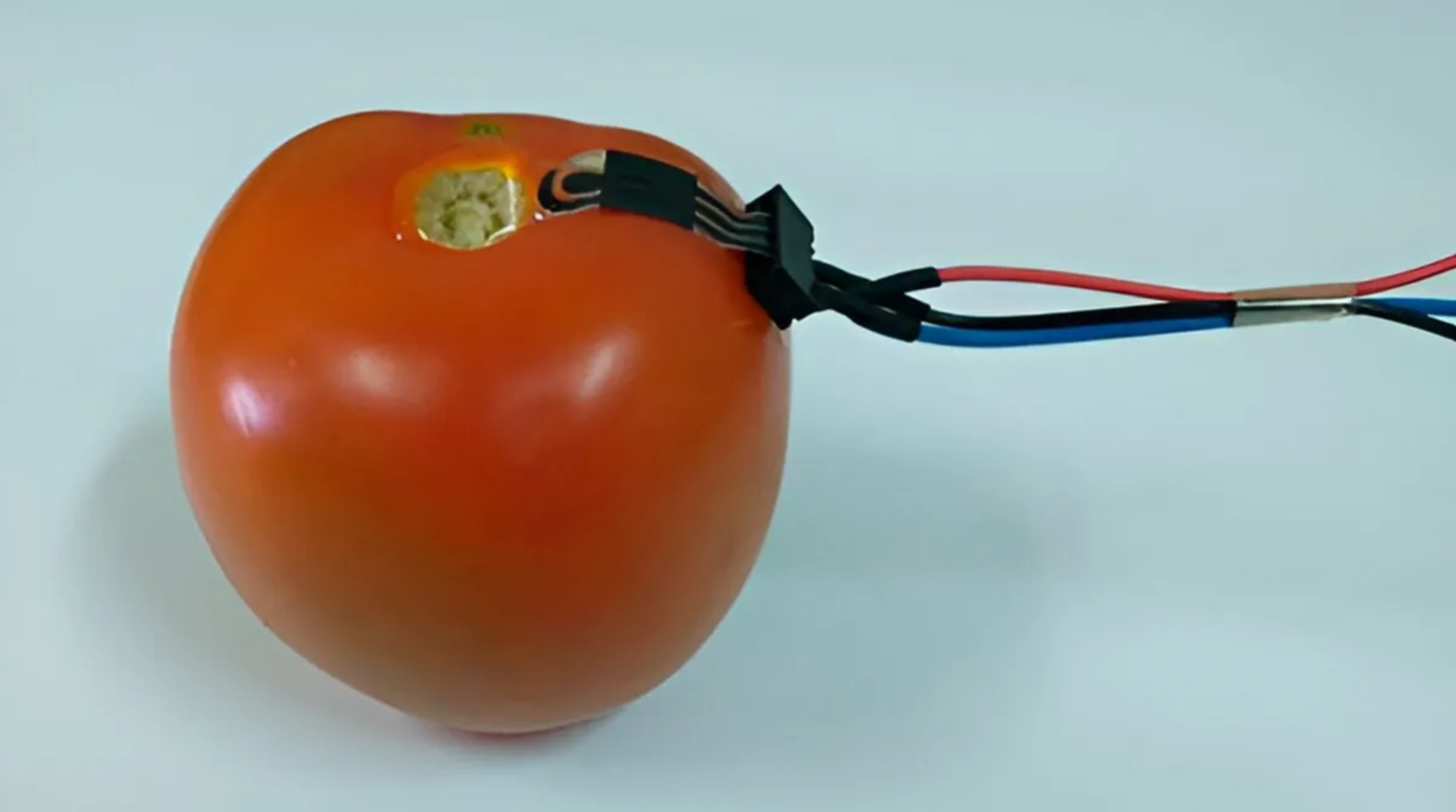 A Biodegradable Sensor Checks Your Food for Pesticides