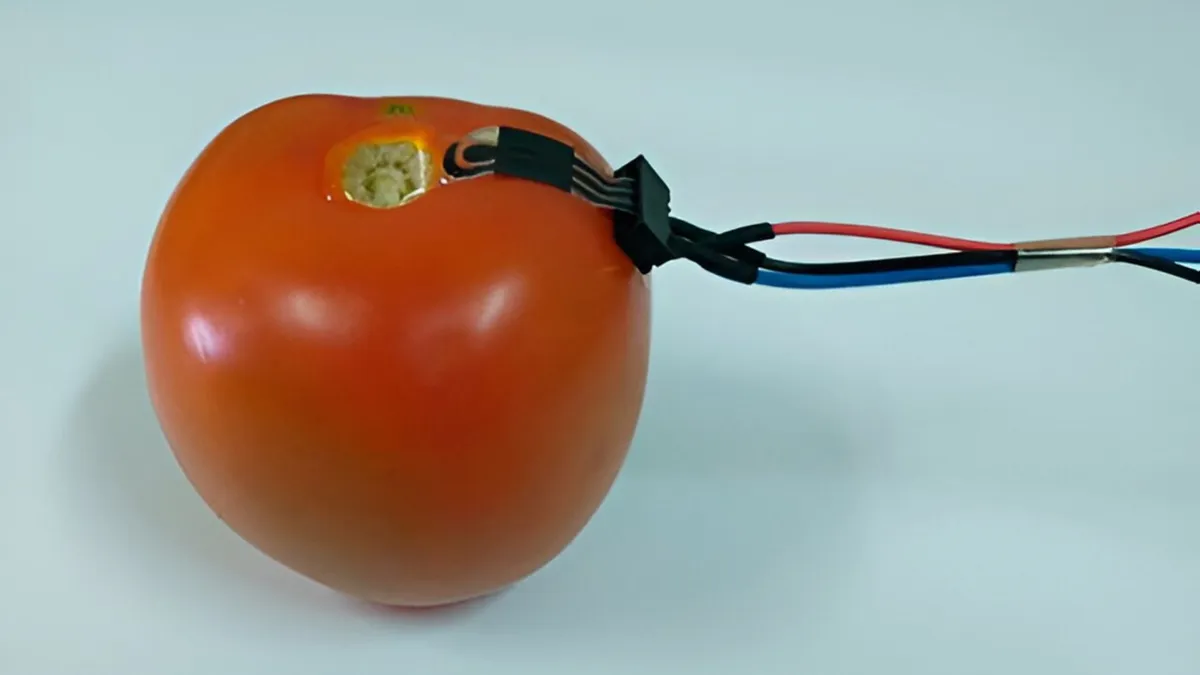 A Biodegradable Sensor Checks Your Food for Pesticides