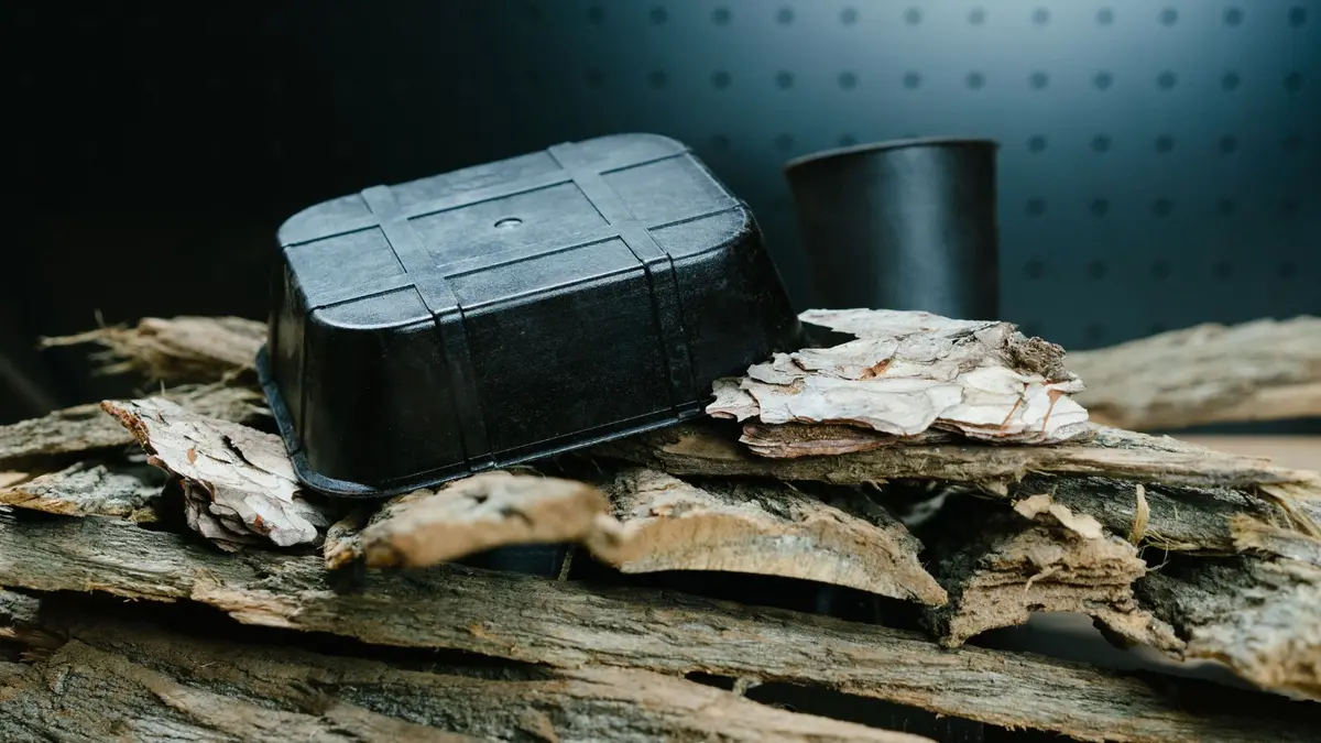 Bpacks Unveils the World’s First Tree Bark-Based Alternative to Plastic Packaging Material