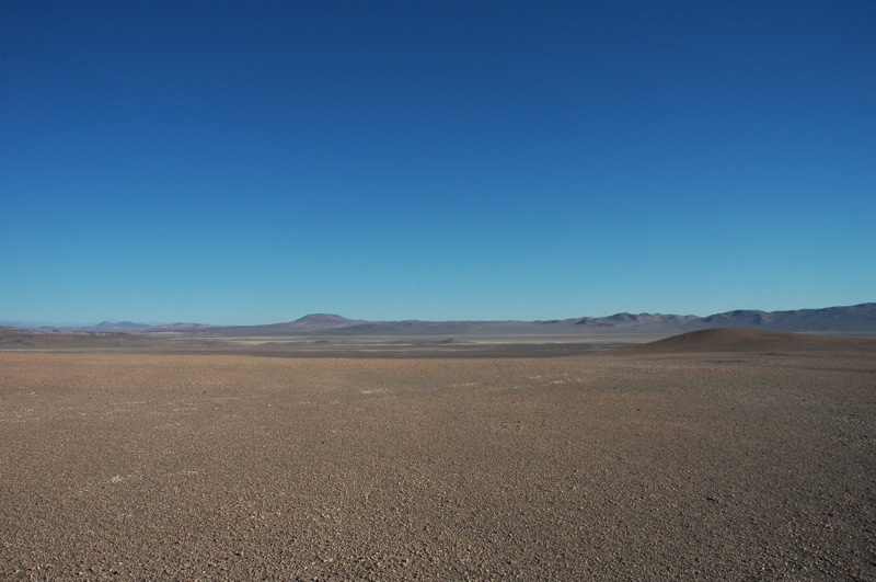 Microbial Oasis Discovered Deep Beneath Arid Desert