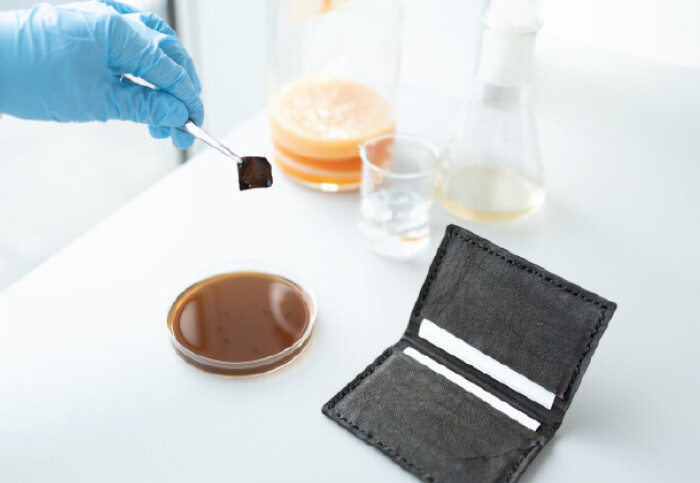 Researchers Cultivate Self-Dyeing Bacteria-Based Leather