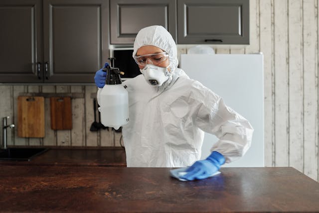 Why Pest Control is Crucial for Businesses