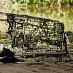 Forgotten Carts, Lasting Damage: Why Abandoned Shopping Trolleys Harm More Than You Think