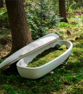 Grown, Not Built: The Mushroom Coffin Designed to Heal the Planet