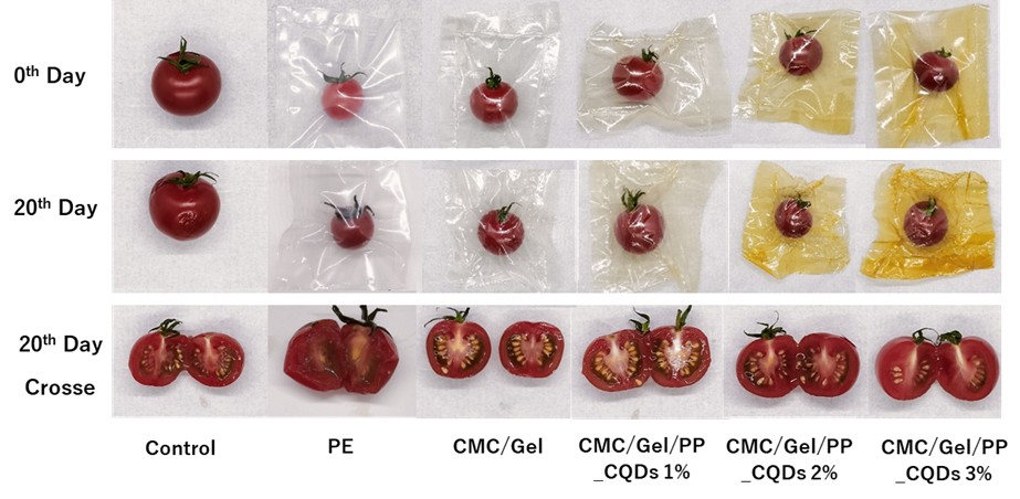 Scientists Turn Pumpkin Peel Waste into Biodegradable Packaging That Outperforms Plastic in Lab Tests